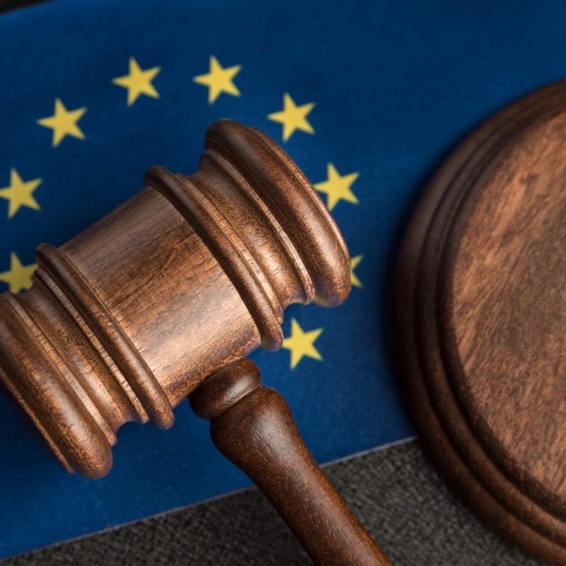 European Union REACH
