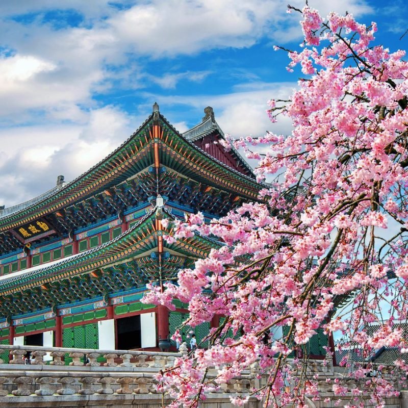 Korea REACH